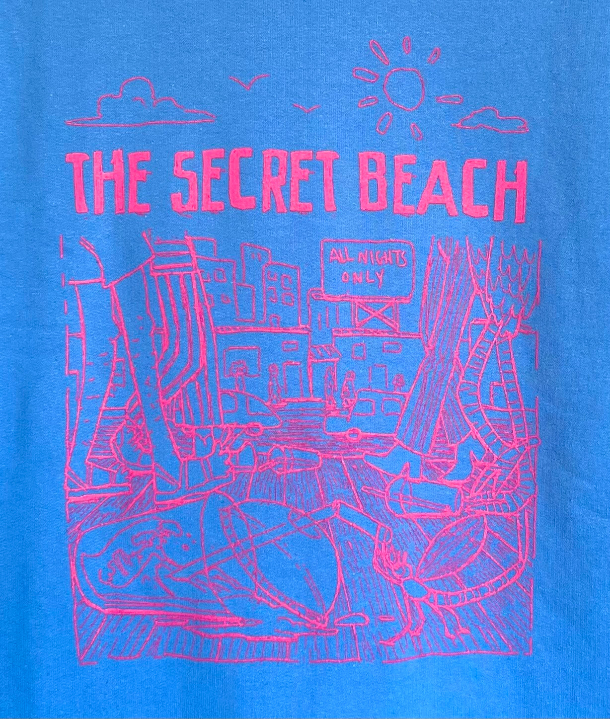 Blue/Pink Crewneck Sweater